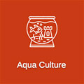 Aqua Culture