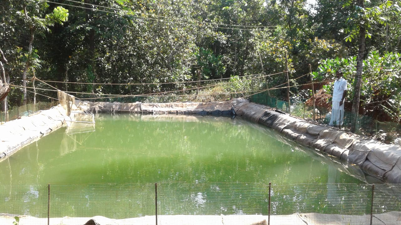 pearl spot farm