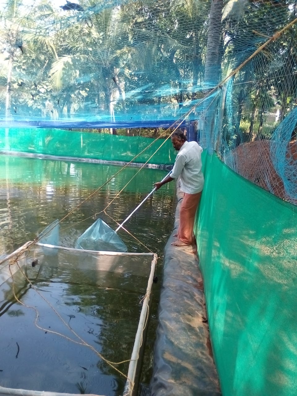 pearl spot farm
