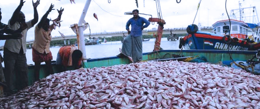 Home 2 | Fisheries Department - Kerala