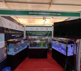 Kerala Fish Fest -2022