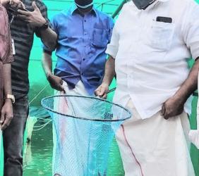 Subhiksha Keralam Padutha pond inauguration at Aala GP  by Hon’ble Minister for Fisheries 